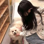 元气动物村破解版下载